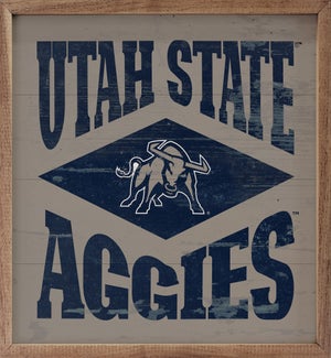 Diamond Logo Utah State University